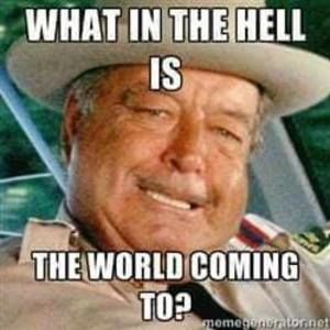 Meet your Posher, Donald